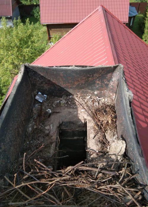 удаление птичьих гнезд из дымохода